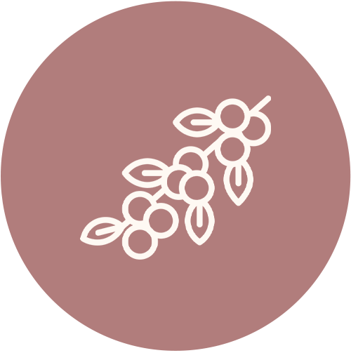 Icon_metiers_SEO Icon_metiers_SEO